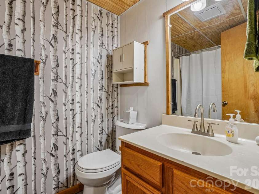 673 Chestnut Lane, Mars Hill, NC 28754.  MLS# CAR4409311, YatesRealty ID 40336. Bathroom Lower Level
