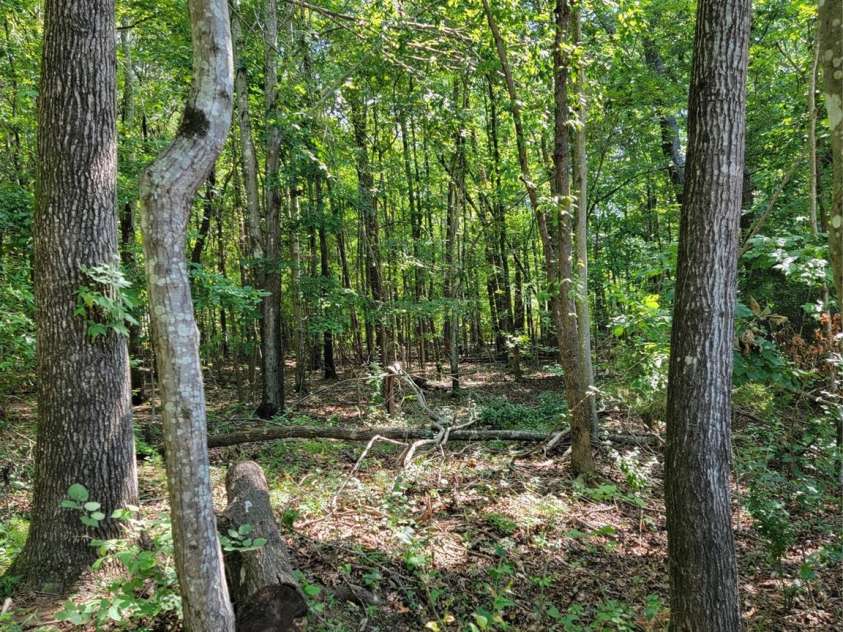 5326 Forestwinds Drive, York, SC 29745.  MLS# CAR4407622, YatesRealty ID 40375. 