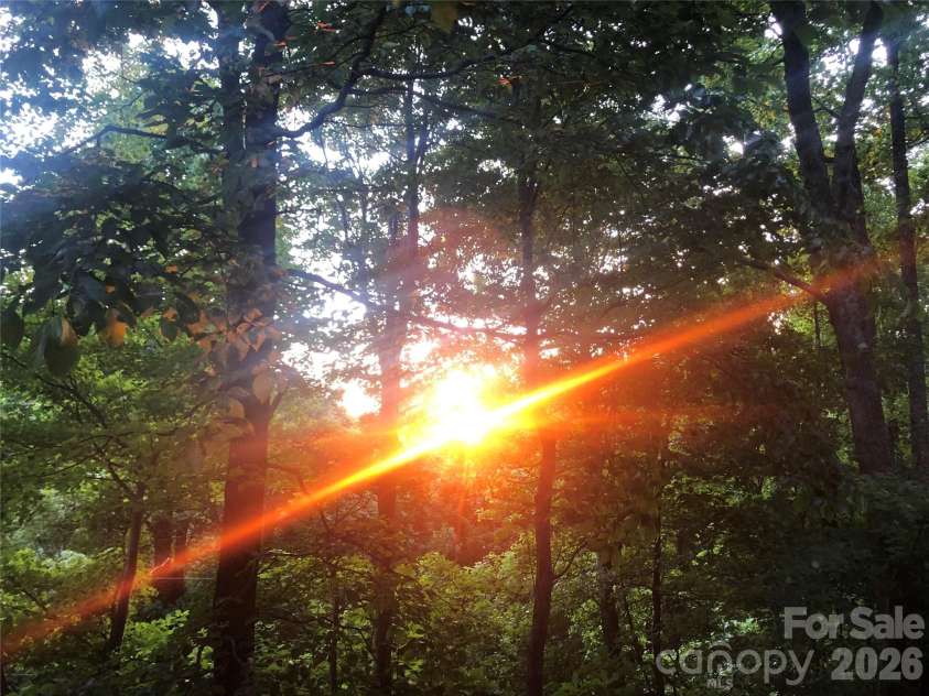 520 Patricia Road, Black Mountain, NC 28711.  MLS# CAR4389417, YatesRealty ID 40391. 