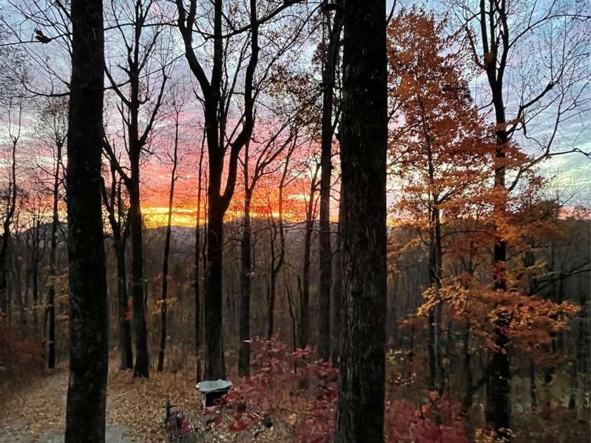 520 Patricia Road, Black Mountain, NC 28711.  MLS# CAR4389417, YatesRealty ID 40391. 