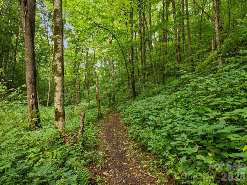 283 The High Road, Waynesville, NC 28786.  MLS# CAR4408195, YatesRealty ID 40400. 