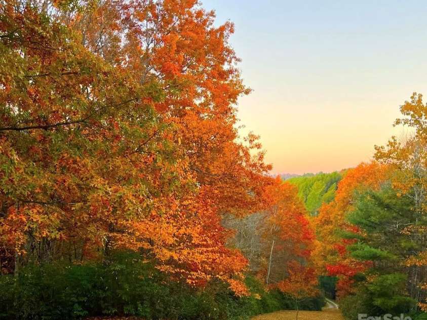 2259 Grassy Creek Road, Grassy Creek, NC 28631.  MLS# CAR4234325, YatesRealty ID 4051. 