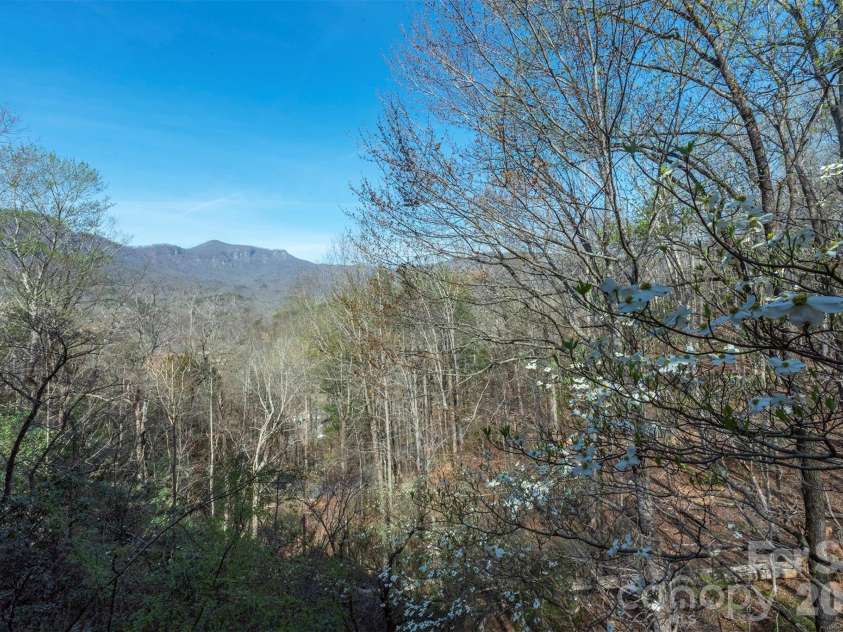 145 White Pine Drive, Lake Lure, NC 28746.  MLS# CAR4361269, YatesRealty ID 40528. 