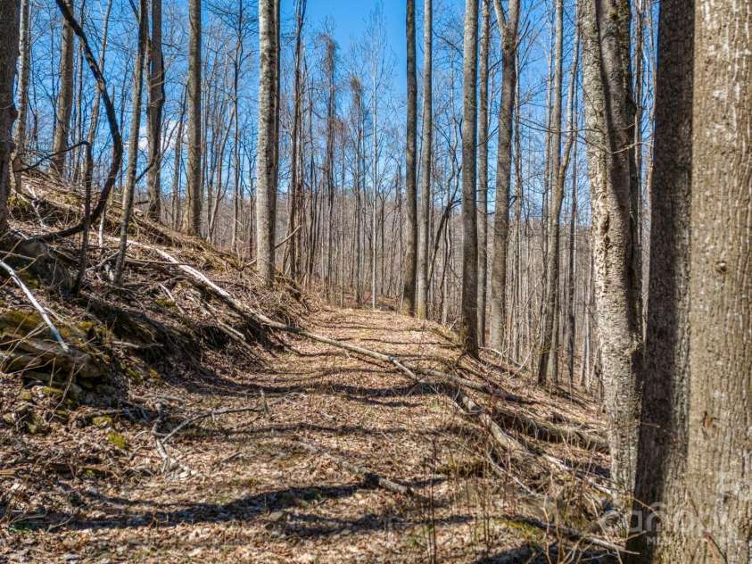 505 Teenas Lane, Burnsville, NC 28714.  MLS# CAR4232237, YatesRealty ID 4053. 