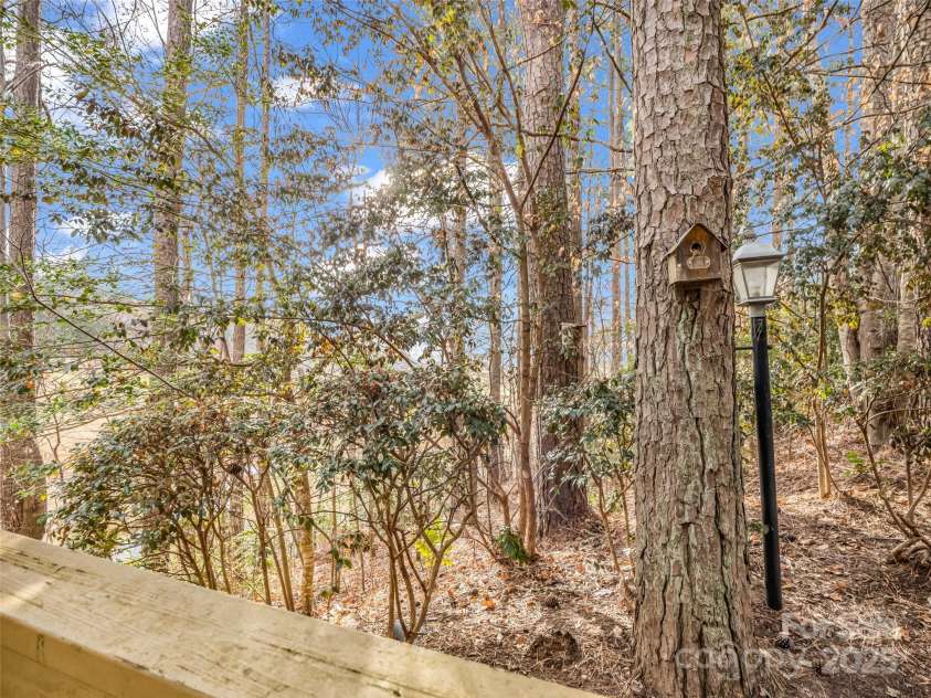 142 Stonecrest Court, Lake Lure, NC 28746.  MLS# CAR4237751, YatesRealty ID 4056. 