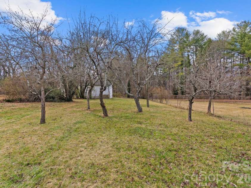 271 Pisgah View Road, Asheville, NC 28806.  MLS# CAR4352368, YatesRealty ID 4059. Fruit Trees! 