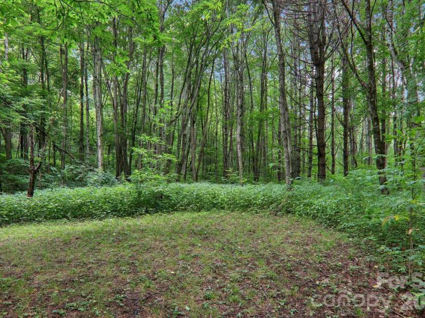 4501 Cove Creek Road, Waynesville, NC 28785.  MLS# CAR4409308, YatesRealty ID 40648. 