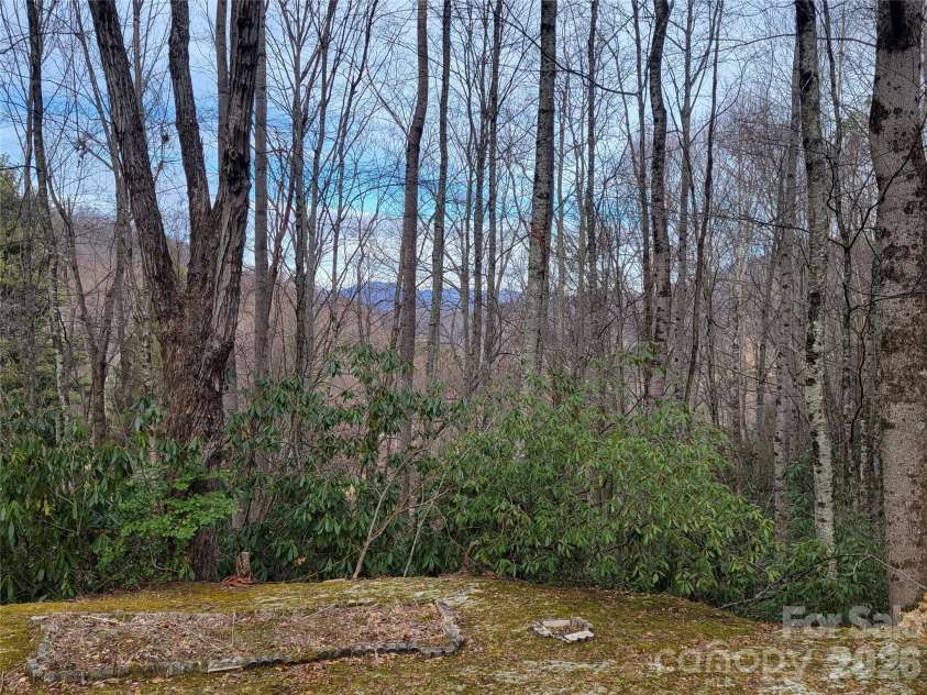 859 Big Cove Road, Waynesville, NC 28786.  MLS# CAR4342100, YatesRealty ID 4071. 