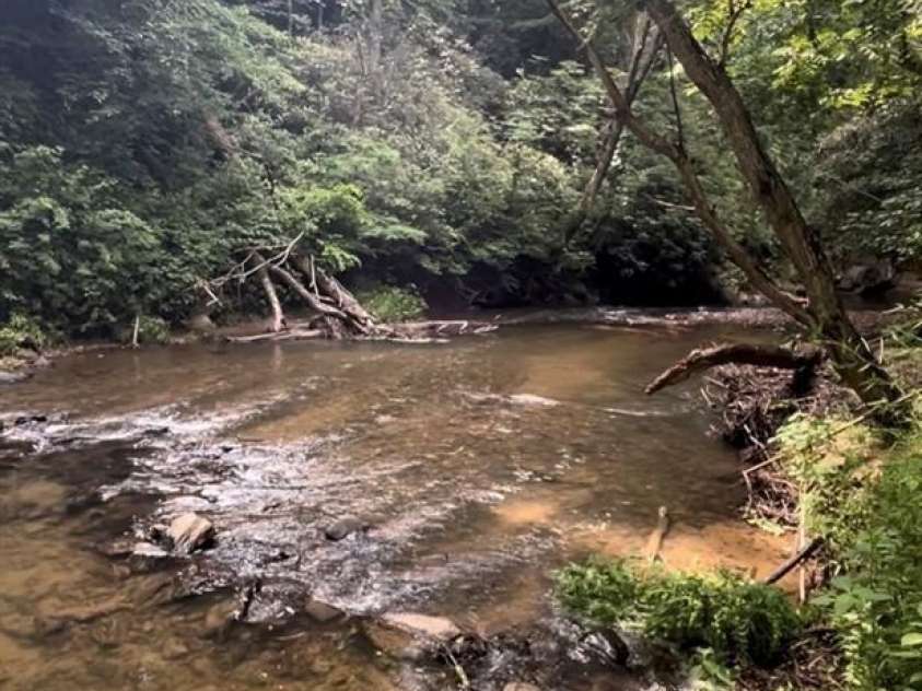 1 Old Mill Lane, Weaverville, NC 28787.  MLS# CAR4410367, YatesRealty ID 40782. 