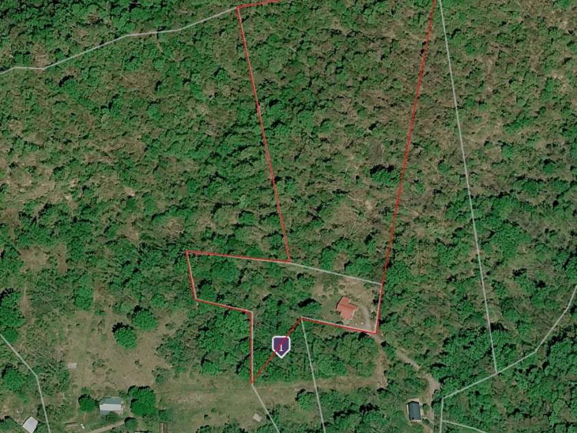 280 Kelses Valley Drive, Mars Hill, NC 28754.  MLS# CAR4382628, YatesRealty ID 40789. Approximately 10 acres have been defined by surveyor.