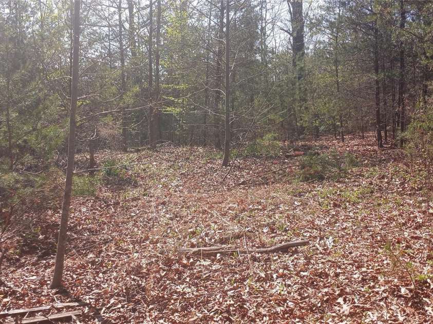950 Biggerstaff Loop, Nebo, NC 28761.  MLS# CAR4104496, YatesRealty ID 409. Lot 6