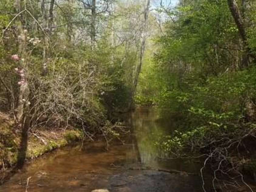 189 Hazelhurst Lane, Mooresboro, NC 28114.  MLS# CAR4407658, YatesRealty ID 40945. 