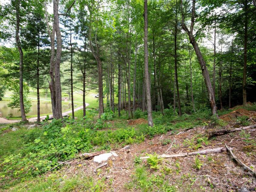 WR 29 Sierra Trail, Elk Park, NC 28622.  MLS# CAR4389934, YatesRealty ID 40962. 