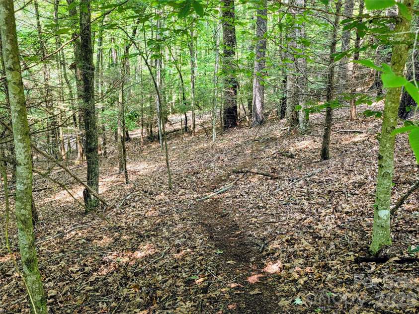 98 Will Wilson Road, Burnsville, NC 28714.  MLS# CAR4406870, YatesRealty ID 40987. Game trail leading down toward Will Wilson Road