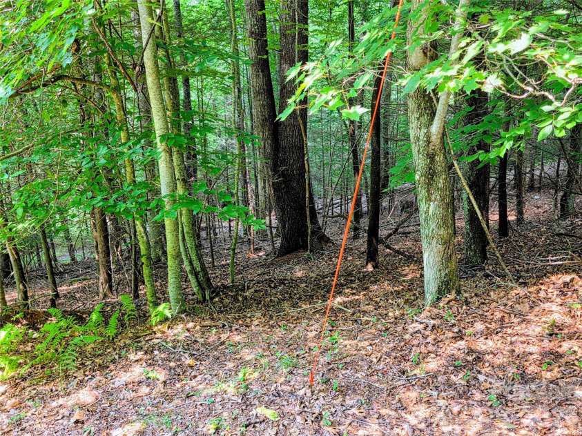 98 Will Wilson Road, Burnsville, NC 28714.  MLS# CAR4406870, YatesRealty ID 40987. Looking toward Will Wilson Road from cemetery property corner