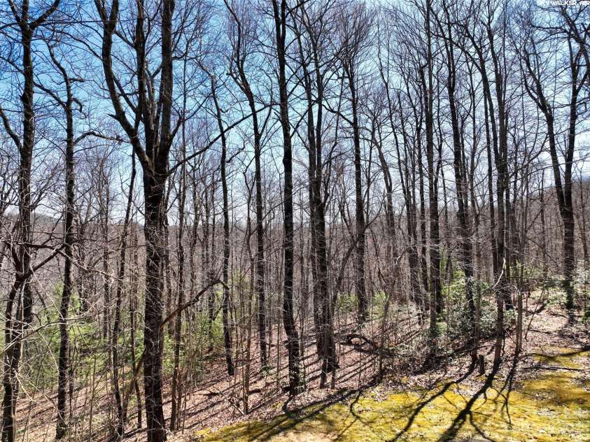 28 Spruce Lane, Zirconia, NC 28790.  MLS# CAR4029224, YatesRealty ID 41. 