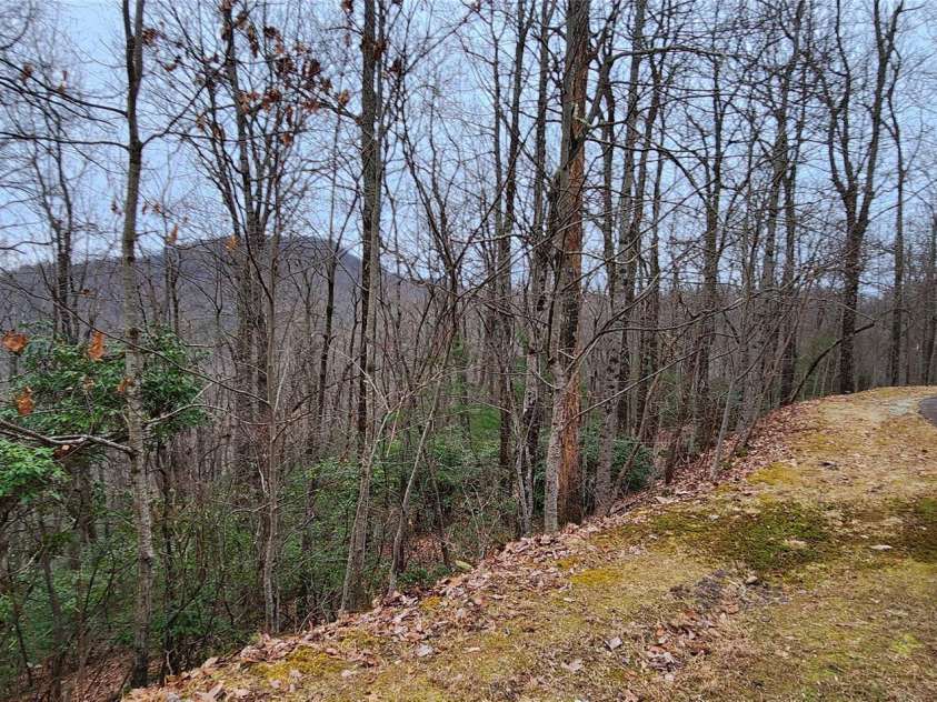 28 Spruce Lane, Zirconia, NC 28790.  MLS# CAR4029224, YatesRealty ID 41. 