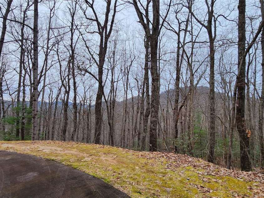 28 Spruce Lane, Zirconia, NC 28790.  MLS# CAR4029224, YatesRealty ID 41. 