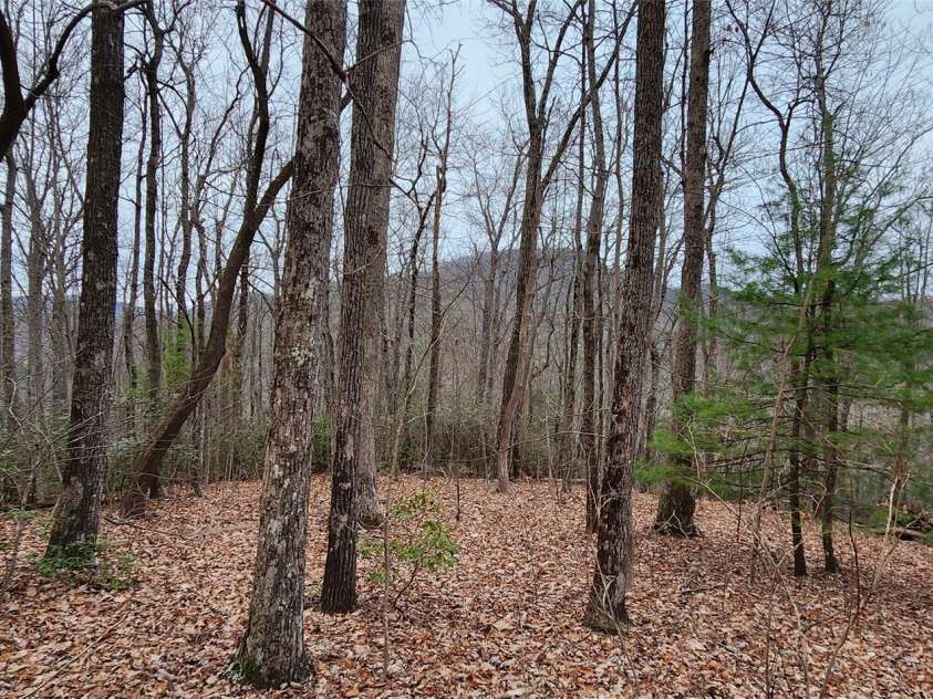 28 Spruce Lane, Zirconia, NC 28790.  MLS# CAR4029224, YatesRealty ID 41. 