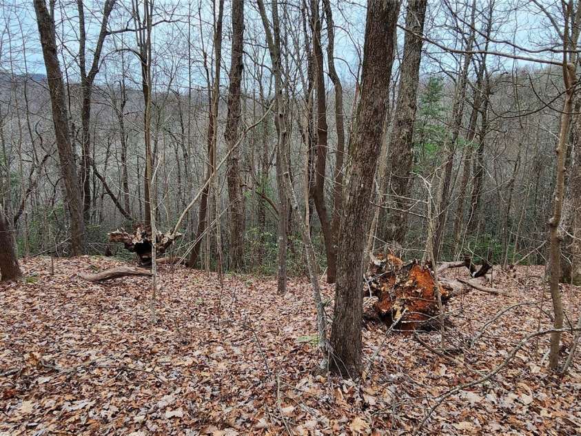 28 Spruce Lane, Zirconia, NC 28790.  MLS# CAR4029224, YatesRealty ID 41. 