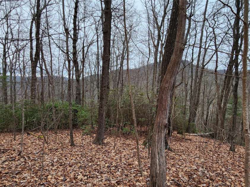 28 Spruce Lane, Zirconia, NC 28790.  MLS# CAR4029224, YatesRealty ID 41. 