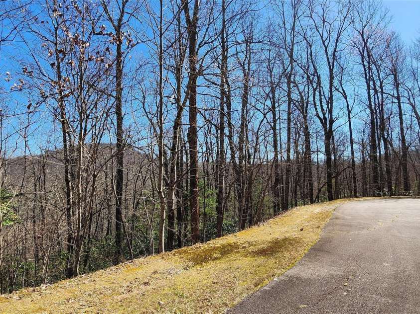 28 Spruce Lane, Zirconia, NC 28790.  MLS# CAR4029224, YatesRealty ID 41. 