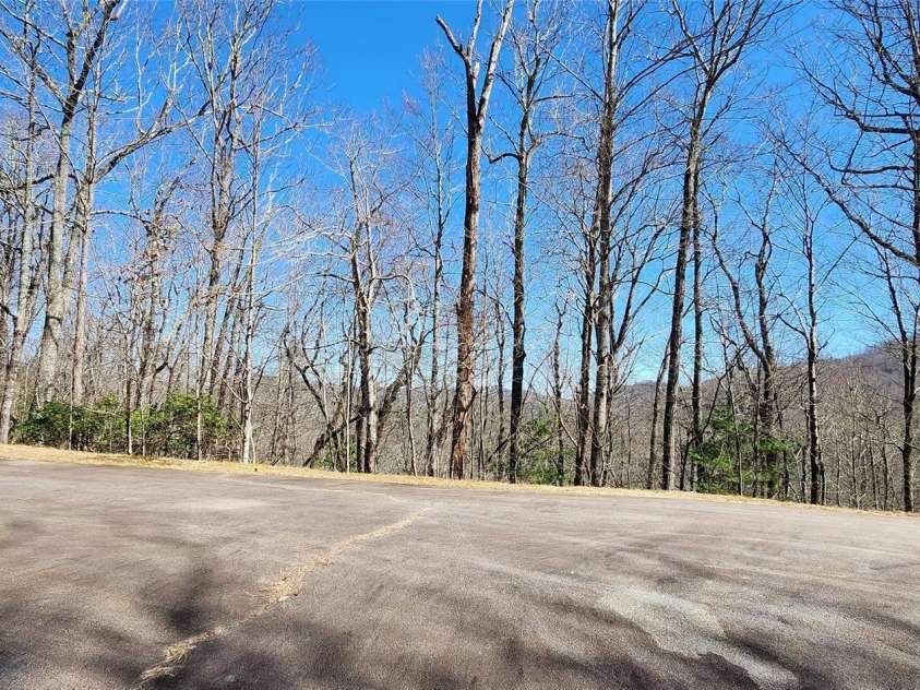 28 Spruce Lane, Zirconia, NC 28790.  MLS# CAR4029224, YatesRealty ID 41. 