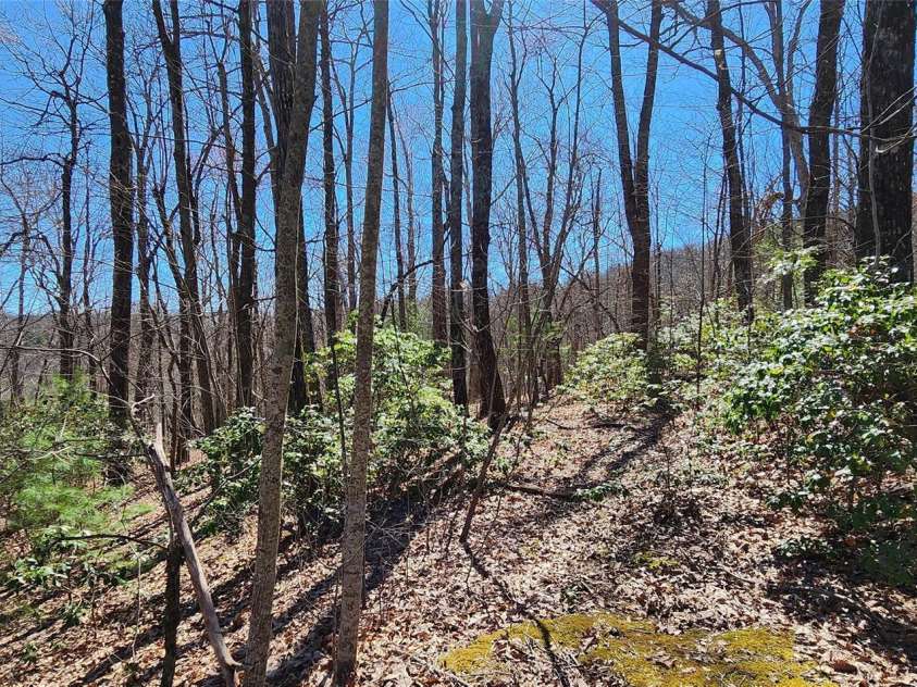 28 Spruce Lane, Zirconia, NC 28790.  MLS# CAR4029224, YatesRealty ID 41. 