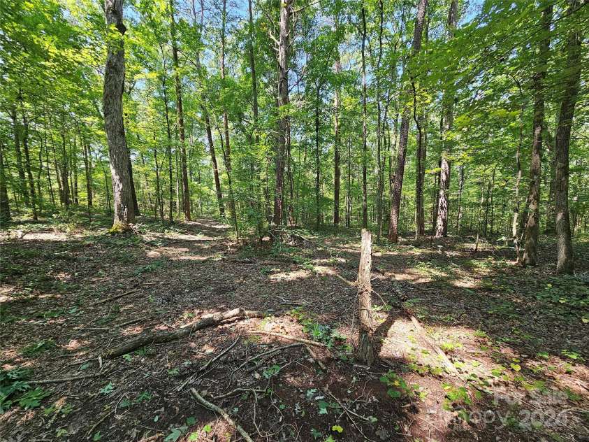 625 Dream Lane, Salisbury, NC 28146.  MLS# CAR4172146, YatesRealty ID 4102. Paths you can walk