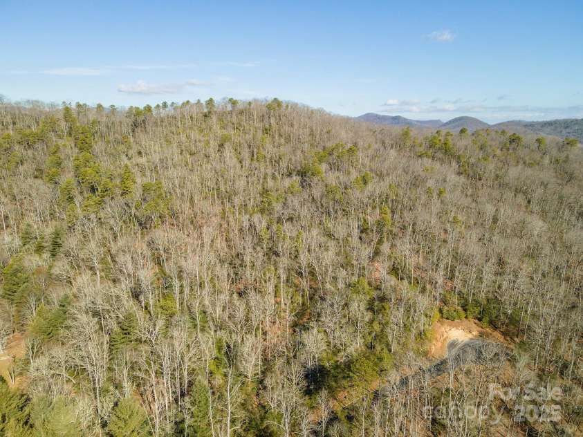 99999 Caddis Lane, Horse Shoe, NC 28742.  MLS# CAR4224785, YatesRealty ID 4103. 
