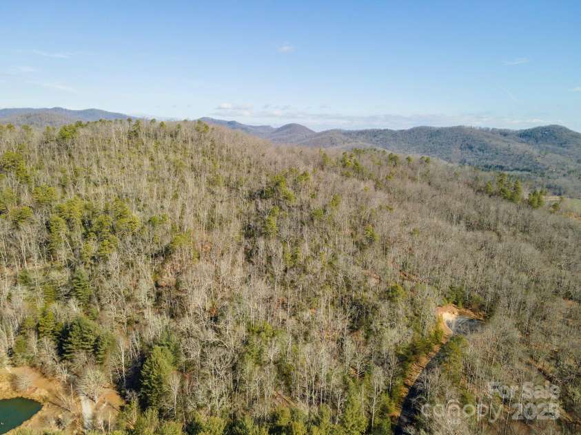 99999 Caddis Lane, Horse Shoe, NC 28742.  MLS# CAR4224785, YatesRealty ID 4103. 