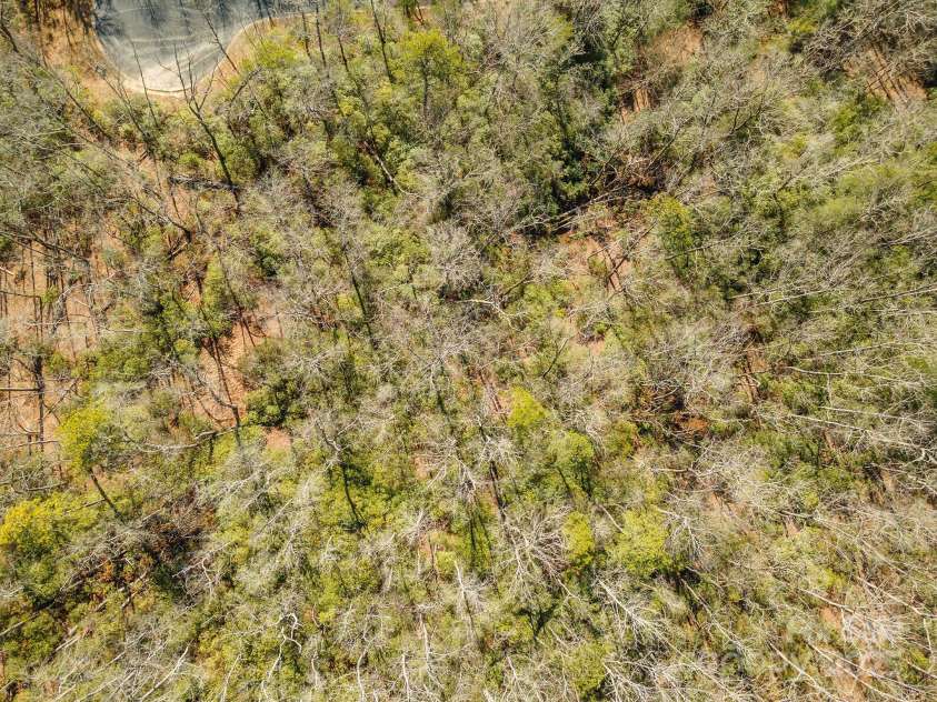 99999 Caddis Lane, Horse Shoe, NC 28742.  MLS# CAR4224785, YatesRealty ID 4103. 