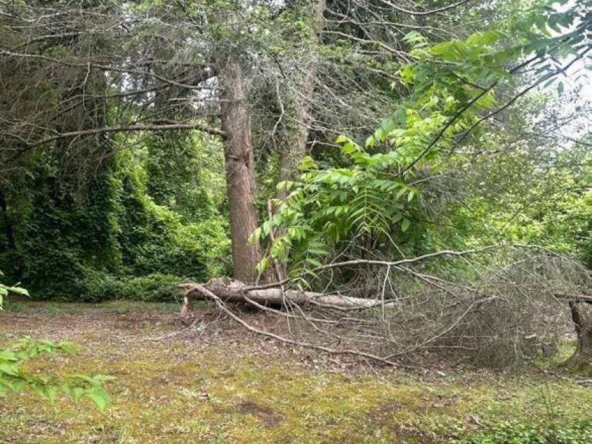 2870 Rutherford College Road, Connelly Springs, NC 28612.  MLS# CAR4410662, YatesRealty ID 41042. 