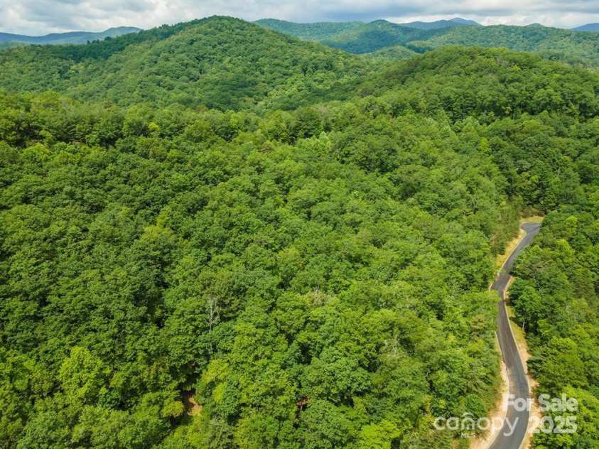 99999 May Fly Lane, Horse Shoe, NC 28742.  MLS# CAR4214417, YatesRealty ID 4106. 