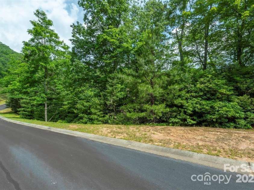 99999 May Fly Lane, Horse Shoe, NC 28742.  MLS# CAR4214417, YatesRealty ID 4106. Lot 118