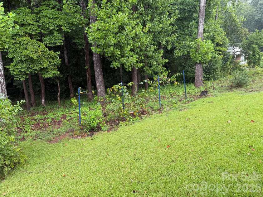 3755 21st Street, Hickory, NC 28601.  MLS# CAR4395380, YatesRealty ID 41061. Grape vines