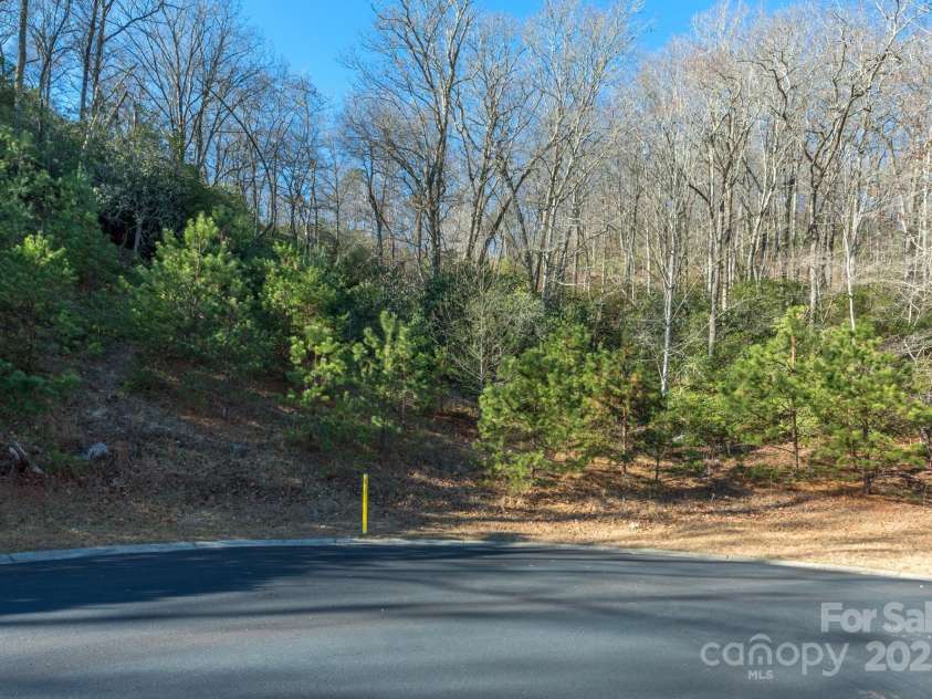 9999 Mayfly Lane, Horse Shoe, NC 28742.  MLS# CAR4214385, YatesRealty ID 4107. Lot 106