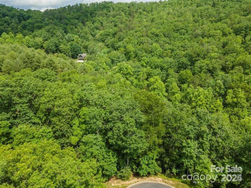 99999 Running Deer Trail, Horse Shoe, NC 28742.  MLS# CAR4158858, YatesRealty ID 4108. 