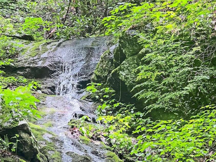 294 Red Knob Lane, Marshall, NC 28753.  MLS# CAR4405147, YatesRealty ID 41131. SPRING FED WATERFALL