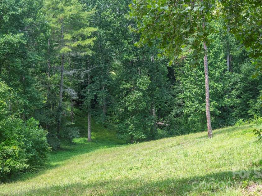 90 Pine Forest Drive, Weaverville, NC 28787.  MLS# CAR4407692, YatesRealty ID 41271. Rolling pasture land as your front yard