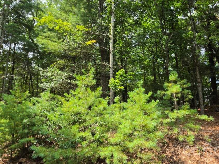 139 Little Creek Lane, Glade Valley, NC 28627.  MLS# CAR4407519, YatesRealty ID 41301. 