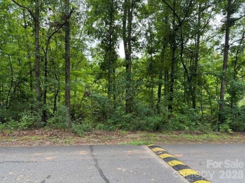00 Chisholm Trail, Rutherfordton, NC 28139.  MLS# CAR4409538, YatesRealty ID 41494. 