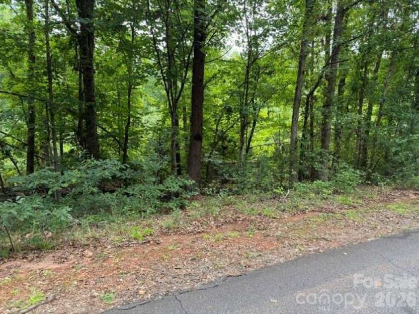 00 Chisholm Trail, Rutherfordton, NC 28139.  MLS# CAR4409538, YatesRealty ID 41494. 