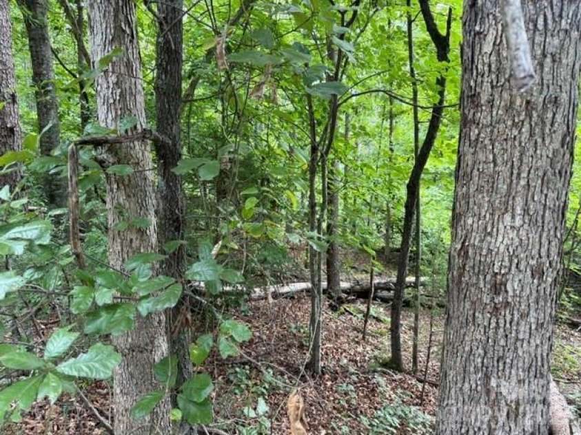 00 Chisholm Trail, Rutherfordton, NC 28139.  MLS# CAR4409538, YatesRealty ID 41494. 