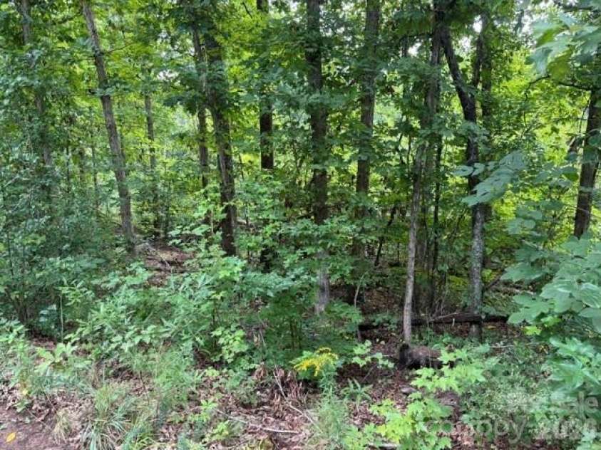 00 Chisholm Trail, Rutherfordton, NC 28139.  MLS# CAR4409538, YatesRealty ID 41494. 