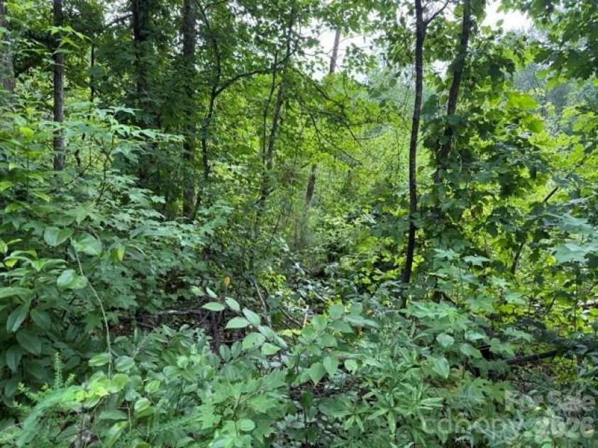 00 Chisholm Trail, Rutherfordton, NC 28139.  MLS# CAR4409538, YatesRealty ID 41494. 