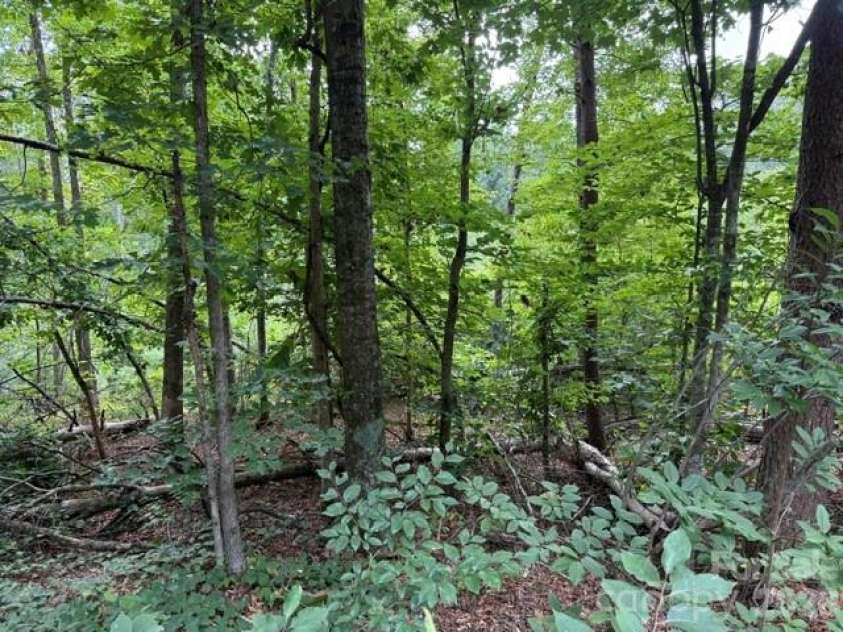 00 Chisholm Trail, Rutherfordton, NC 28139.  MLS# CAR4409538, YatesRealty ID 41494. 