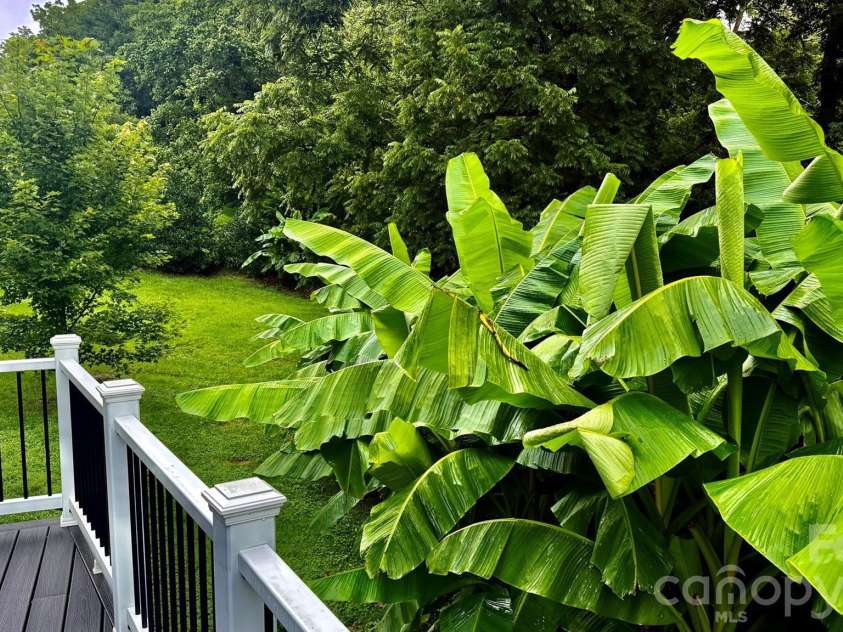 5 Northlake Drive, Weaverville, NC 28787.  MLS# CAR4407082, YatesRealty ID 41518. 