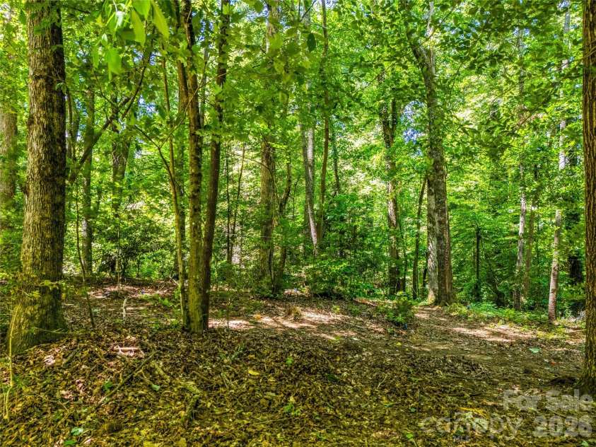 70 Promised Ridge Drive, Hendersonville, NC 28791.  MLS# CAR4411866, YatesRealty ID 41538. Area of future expansion with soils testing approved for additional structure to be built with 1 bedroom septic