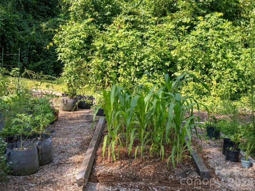 61 Sherwood Forest Drive, Arden, NC 28704.  MLS# CAR4410058, YatesRealty ID 41567. 